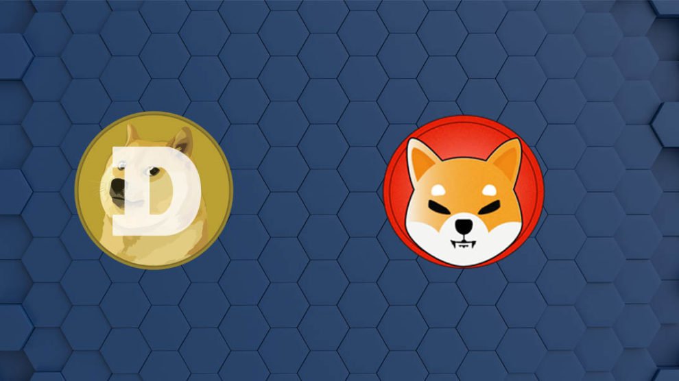 Will Shiba Inu and Dogecoin Outperform Bitcoin