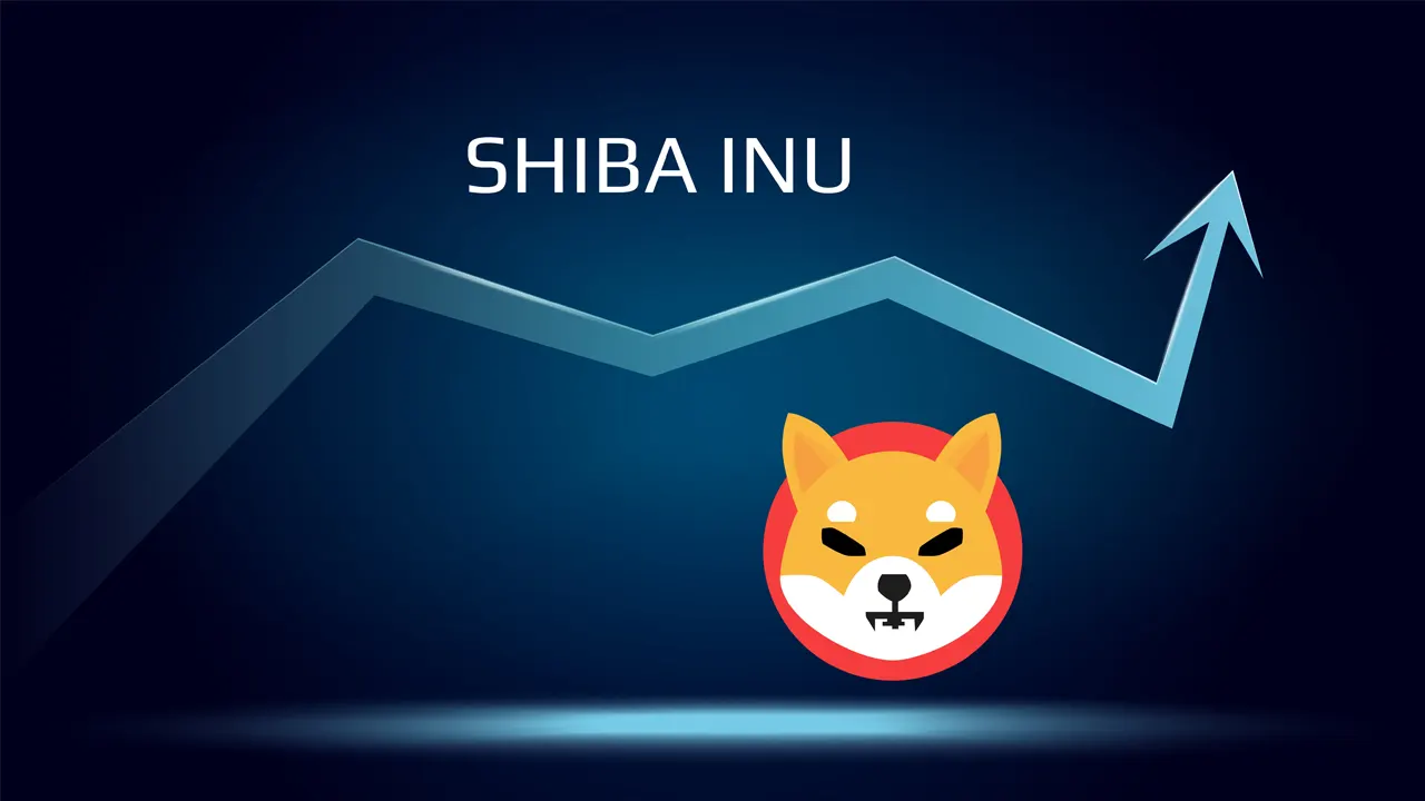 SHIB Double Bottom Pattern What it Means for the Investors