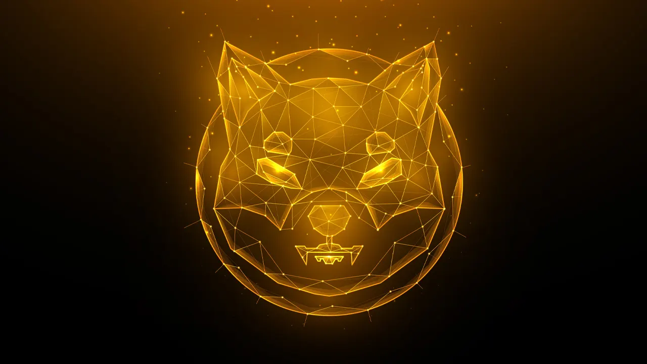 Understanding the Basics of SHIB and its Potential as Dogecoin Killer