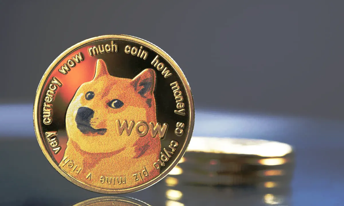 Why Dogecoin Desperately Needs Musk Support