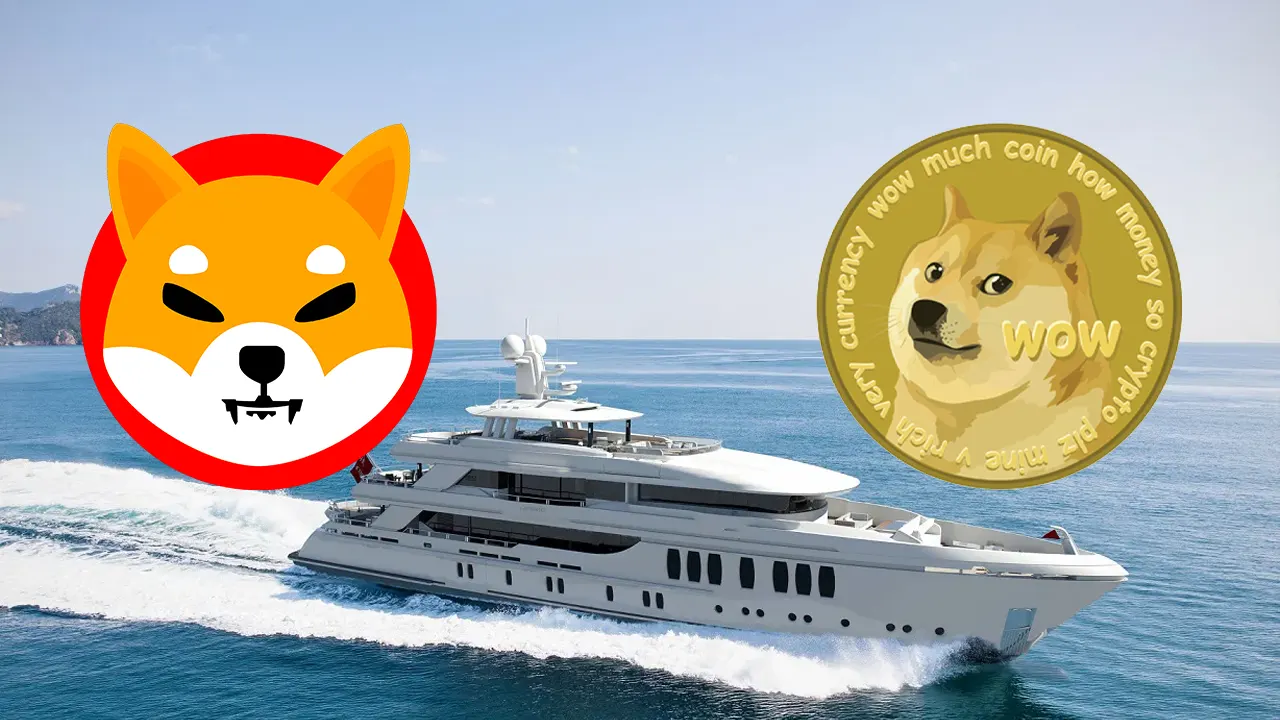 Will Luxury Yacht Services Increase SHIB and DOGE Popularity